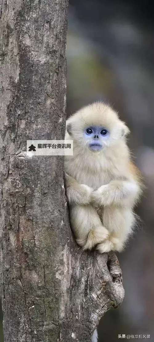 《夺宝奇兵古老之圈》花园里的蛇解谜攻略 花园里的蛇谜团怎么解图1