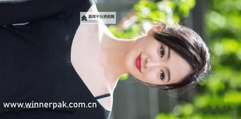 探索最佳选择:最好看的最新高清中文视频排行榜图1