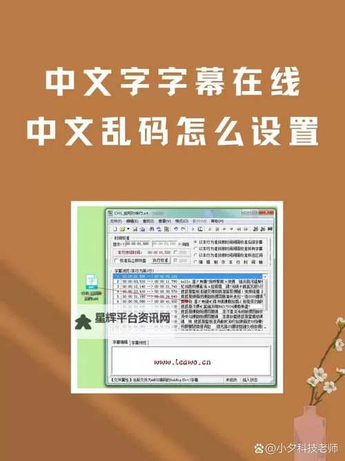 解决中文字幕在线中文乱码问题的方法与技巧图1