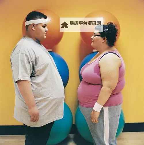 超胖成人在线：探索极致身材与大胆展示的独特世界图1