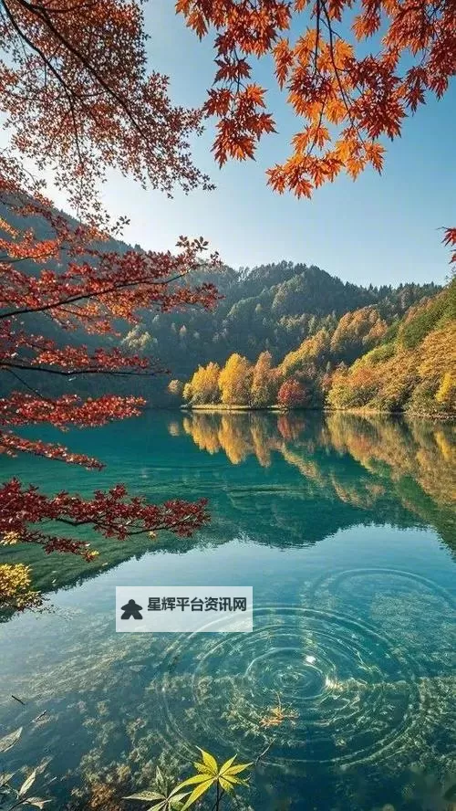 八荒战纪电脑版下载 八荒战纪电脑版的安装使用方法图1