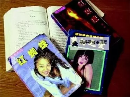 探索多元趣味：亚洲黄色另类小说的独特魅力图1