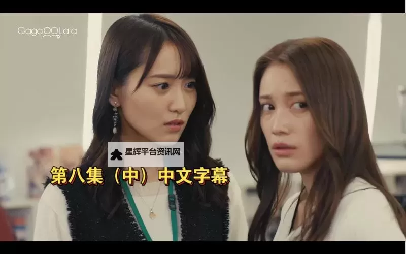 全面解析中文字幕二区三区：常见问题与关注点图1