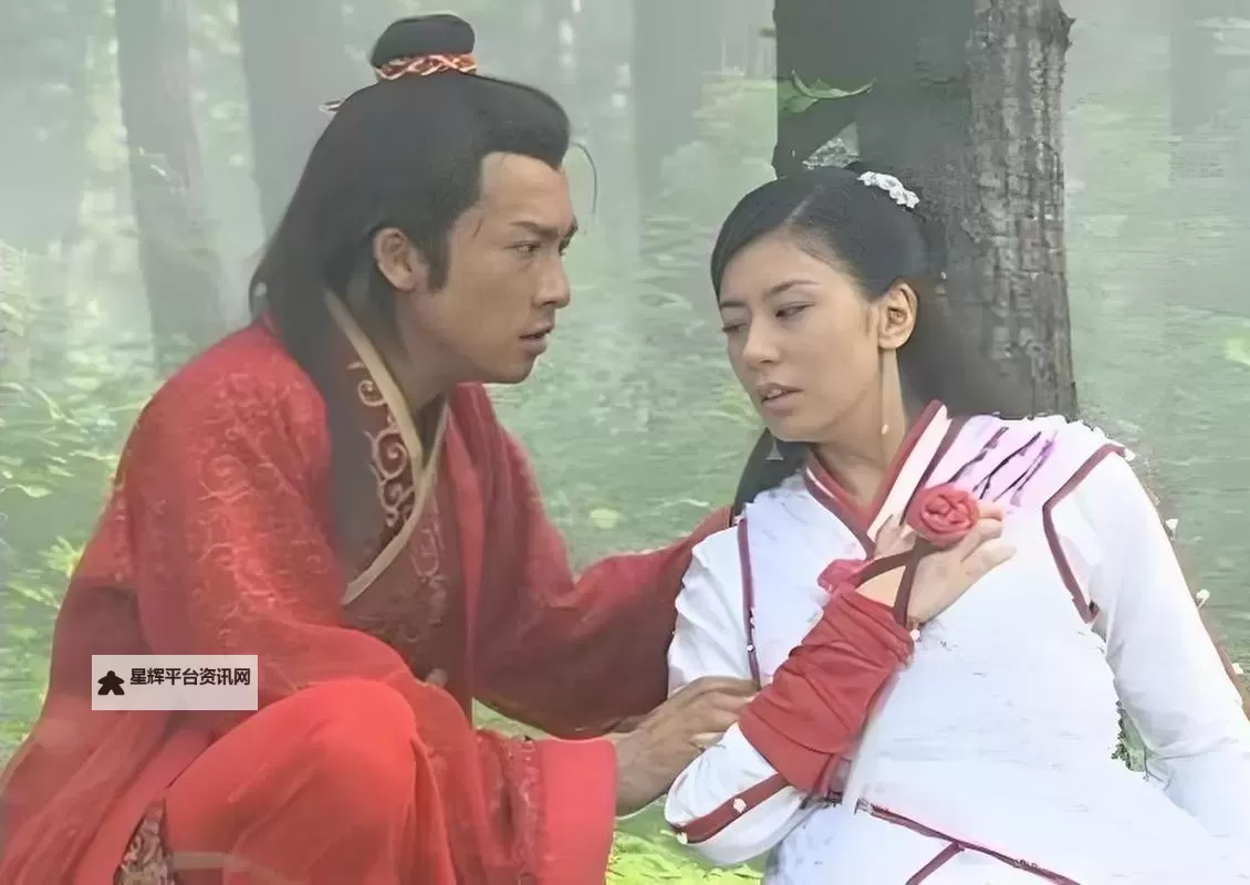 张无忌最后和谁在一起了——《倚天屠龙记》中的终极归宿图1