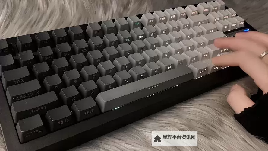 《黑色坠落》键盘、手柄按键操作说明 黑色坠落怎么操作图2