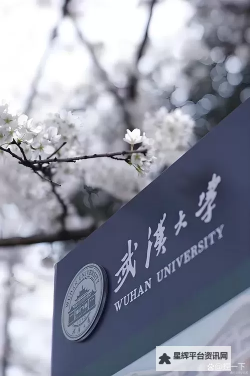 探索未来之路:中国麻将大学助力传统文化新传承图1
