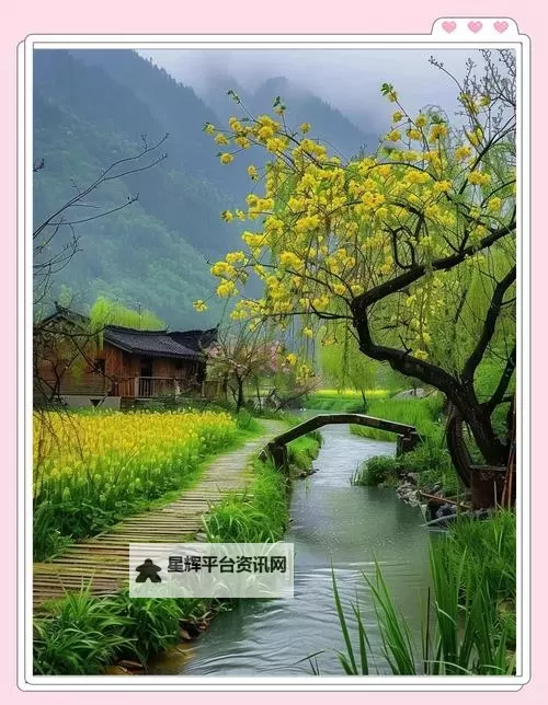 探索温馨成长记忆:寄宿日记网站带你记录生活点滴图1