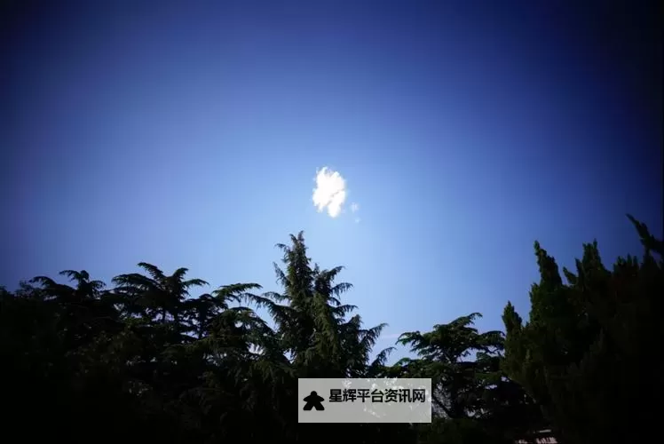 魅力绽放：中年妇女人体摄影的优雅与力量图1