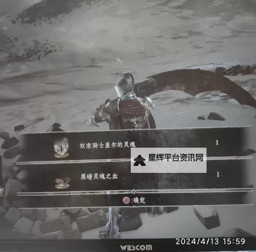 《黑暗之魂3》全BOSS打法技巧 隐藏及最终BOSS打法图1