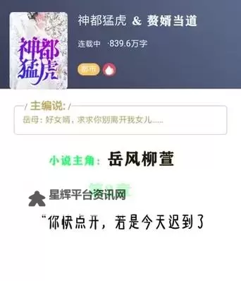 岳乱小说合集目录伦200：全面收录与高清精选评析图1