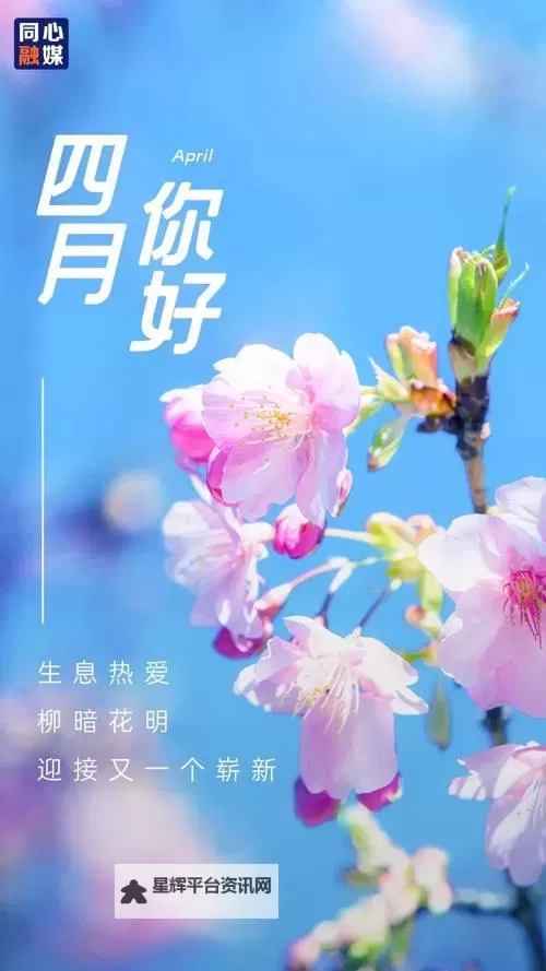 青春绽放：与婷婷共度四月天的温馨时光图1