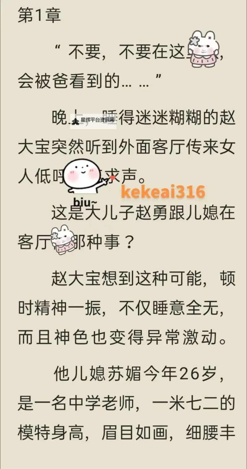 张大宝与儿媳苏媚的小说：爱与冲突的交织图1