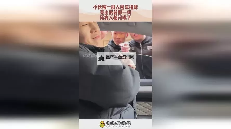 海外华为8x拔萝卜小视频：趣味操作全纪录图1