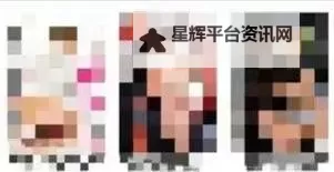 关于4438X最大的色情网站的全面解析与最新动态图1