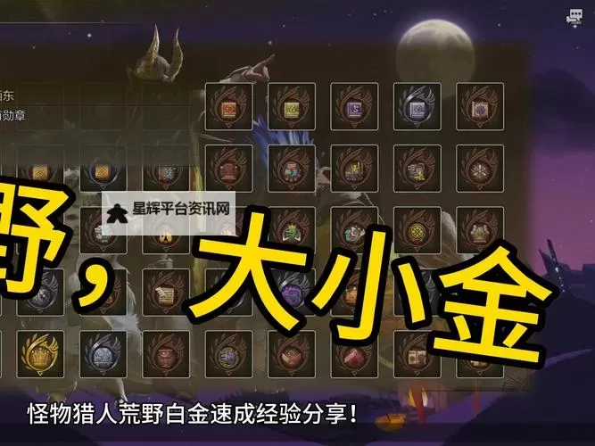 《怪物猎人荒野》无限刷金之炼金票方法 怎么刷金之炼金票图1