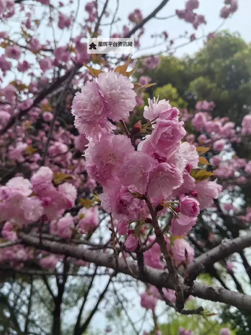 《暗黑破坏神4》实用开荒攻略图1