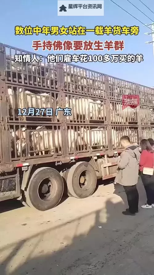 中年男女站在载羊货车旁要求放生引发众人关注图1