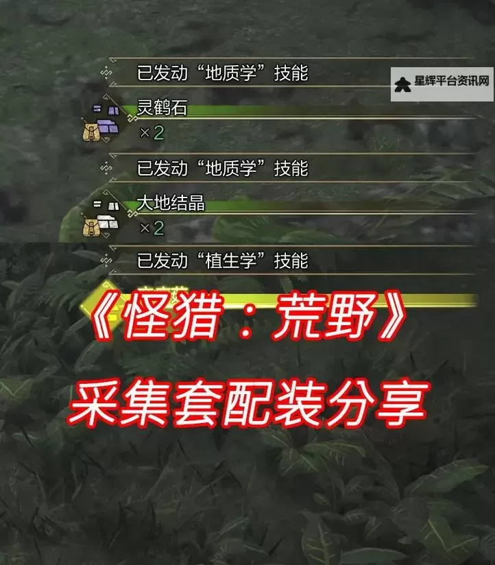 《怪物猎人荒野》灵鹤石获取方法图1