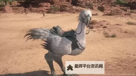 《最终幻想12》陆行鸟位置及隐藏通道一览 陆行鸟隐藏通道在哪图1