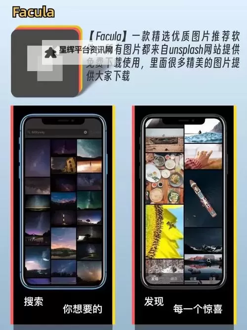 2024最新夜里十大禁用APP软件免费推荐，保障您的隐私与安全图1