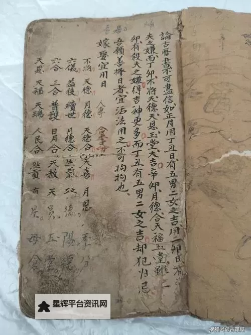 《铸仙之境》水系符咒养成指南 《铸仙之境》水系符咒该怎么养?图1