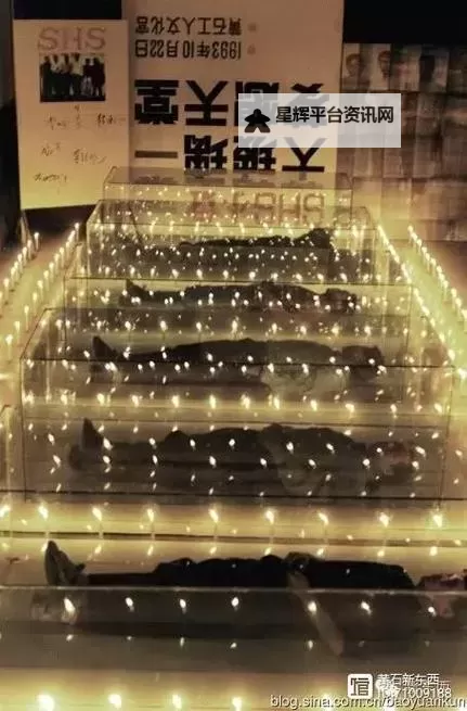 尽享无限乐趣:在线天堂无限次观看精彩影视大片图1