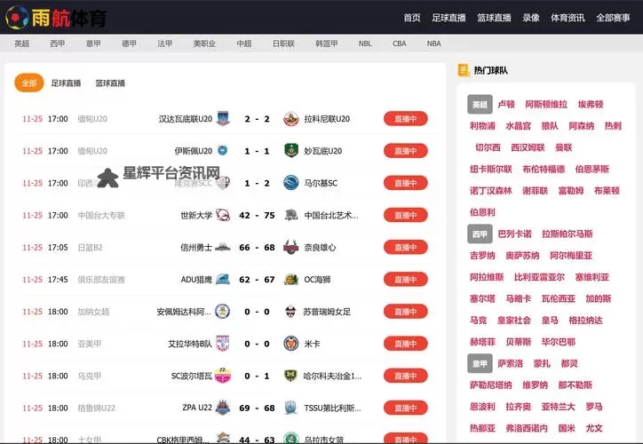 色播app下载站长统计:全面解析平台用户数据与发展趋势图1