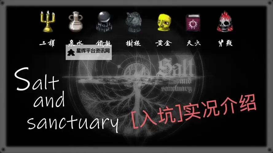《盐和避难所》白金攻略 各奖杯达成白金攻略图1