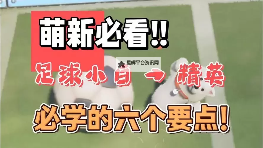 《猛兽派对》新手技巧纯干货教学 新手快速进阶攻略图1