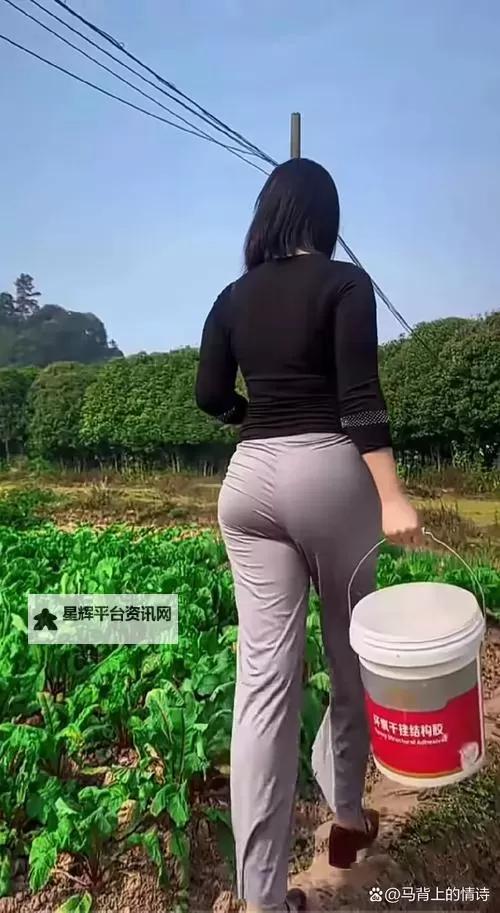 大长腿美女拔萝卜图片大全：清新田园风趣尽显图1