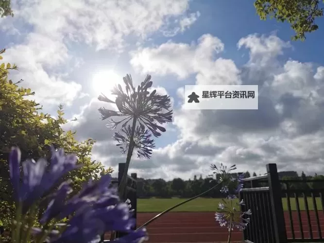在学校怎么自W:提升自我管理与学习效率的实用指南图1