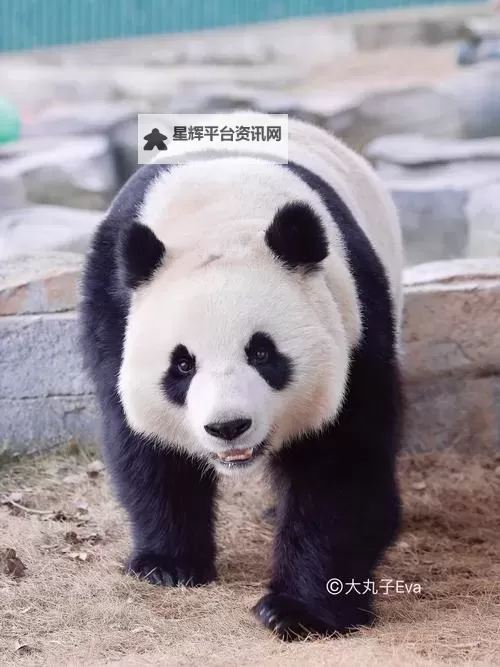 《狙击精英抵抗》第八关收集地图分享 第八关物品位置一览图1
