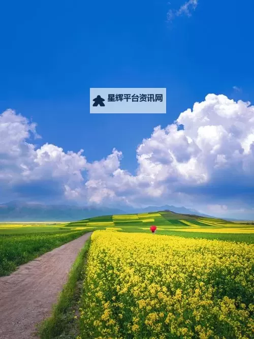 2024群英召唤师礼包码免费领(全渠道全版本可用)图1