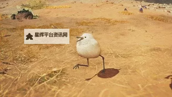 《怪物猎人荒野》集会所超大柔毛秧鸡位置 集会所超大柔毛秧鸡在哪图1