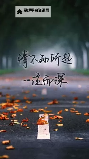 最新指南：如何在2018年手机上获取和使用中文字幕图2