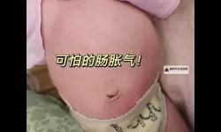 胀满精装肚子去上学：一天的趣味奇遇