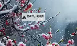 跨越我的尸体2 远征、交流及佣兵系统说明