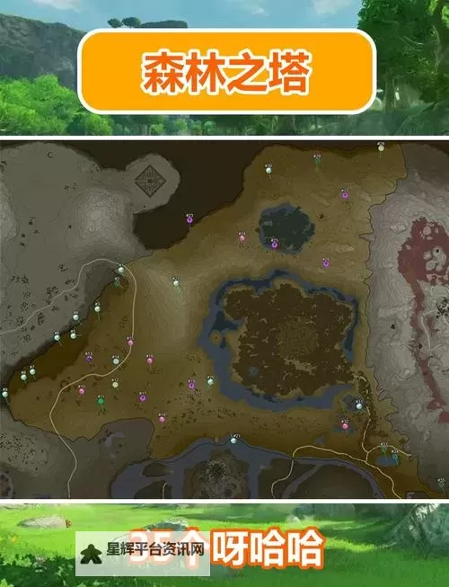 《塞尔达传说王国之泪》向阳草采集路线演示 向阳草在哪图1