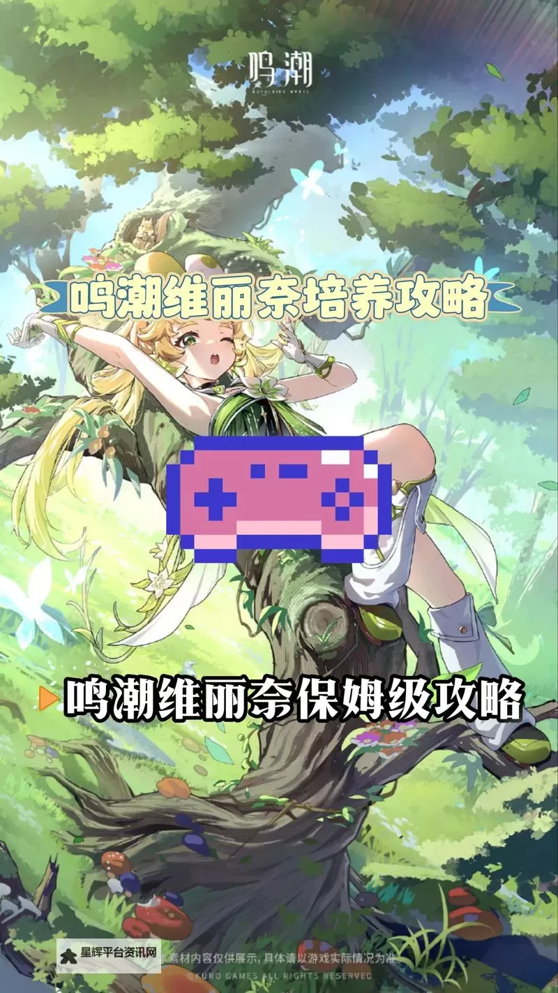 《鸣潮》维里奈养成一图流 维里奈怎么培养图1