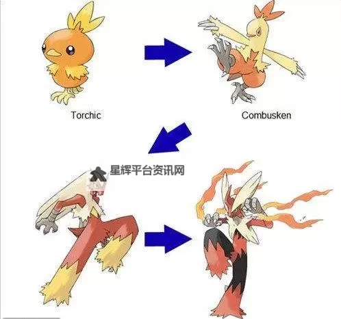 口袋妖怪X/Y 新手向SL孵蛋法的应用 快速获得对项觉醒之力的PM图1