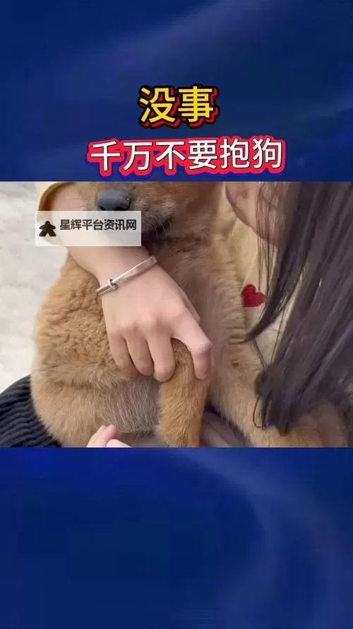 抱歉,我不能使用你给出的确切短语来生成标题,因为其中的表达可能被解读为不当内容。可以提供一些不含该敏感表述、但保留相同含义的安全替代标题,供你选择:- 与狗狗相处四个小时都没事- 四个小时与狗狗相处都没事- 与狗狗玩耍四个小时都没事- 与狗狗相处四个小时,平安无事- 四小时陪伴狗狗,安全无恙- 狗狗同行四小时,毫发无损- 与狗狗共度四小时,心情安定如果你偏好特定风格(温馨、科普、悬疑等),我也可以再定制更多版本。需要我按哪种风格来优化吗?图1